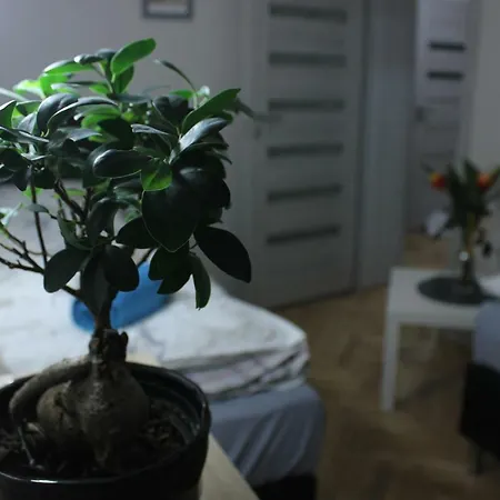 Апартаменты Kotlarska